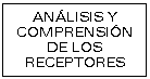Cuadro de texto: ANLISIS Y COMPRENSIN DE LOS RECEPTORES